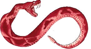 The snake symbol of the Crimson Dark