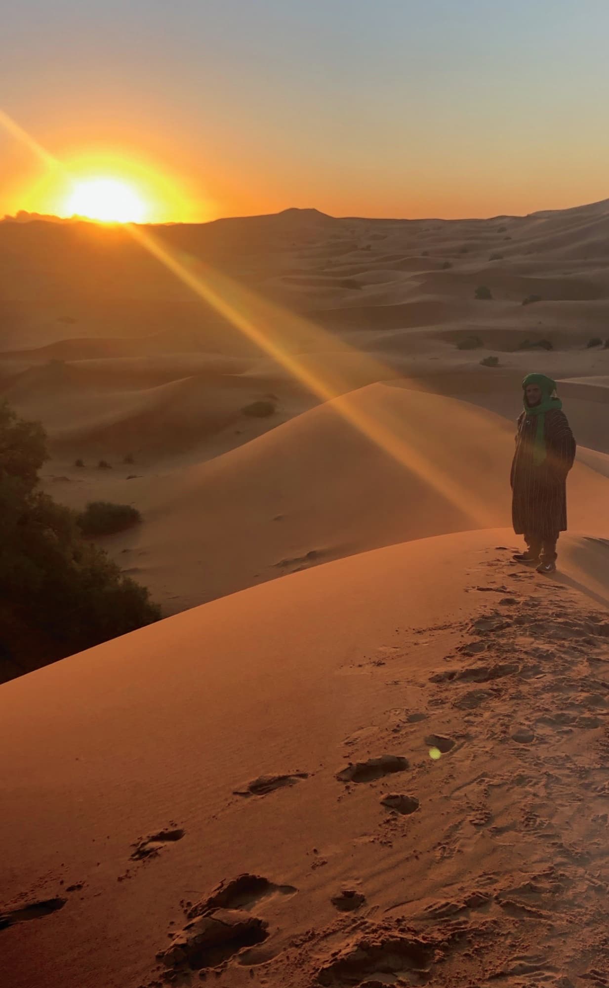 Desert